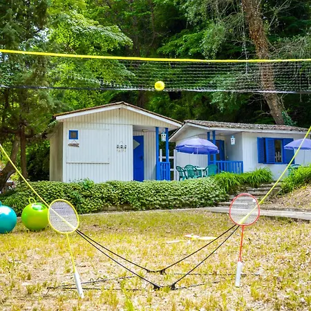 Albatross Retro Summer Camping *