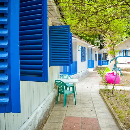 Albatross Retro Summer Camping Varna