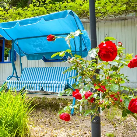 Albatross Retro Summer Camping