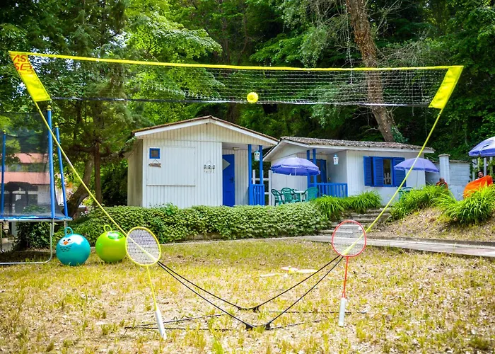 Albatross Retro Summer Camping *