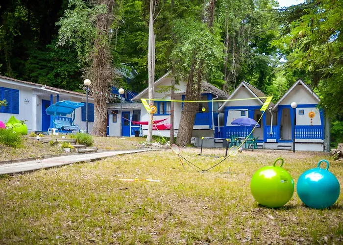 Camping Albatross Retro Summer Varna