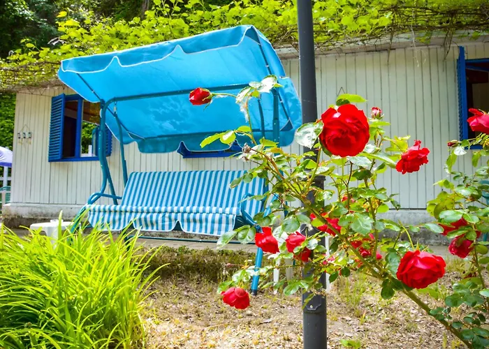 Albatross Retro Summer Camping