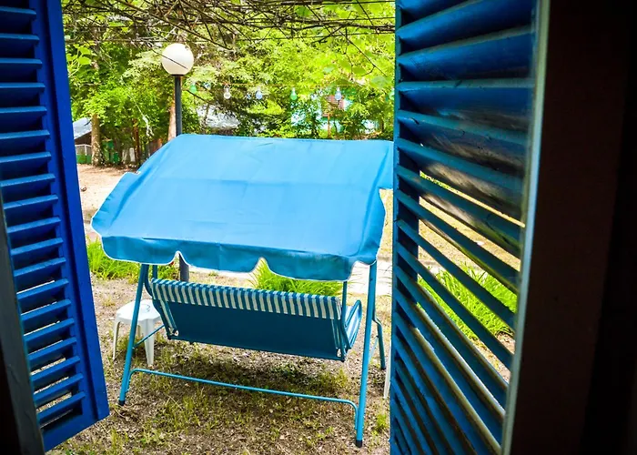 Camping Albatross Retro Summer *