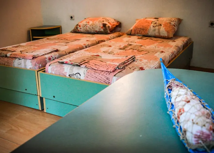 Camping Albatross Retro Summer *