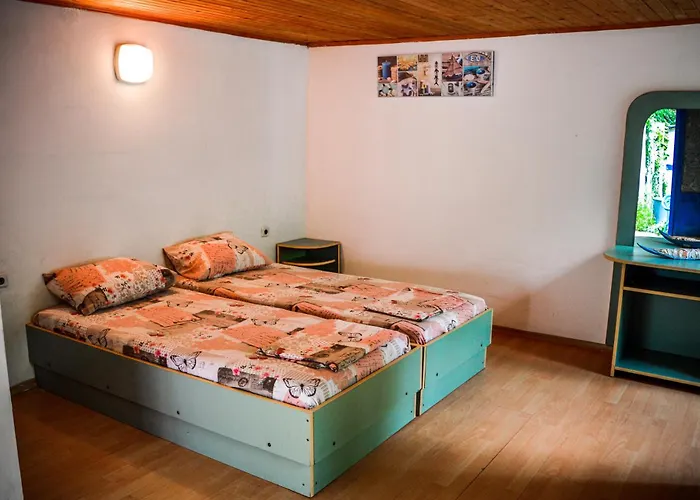 Camping Albatross Retro Summer