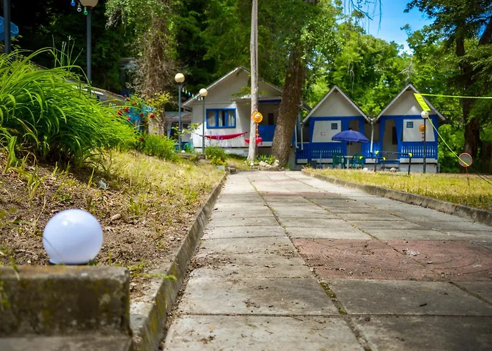 Albatross Retro Summer Camping *