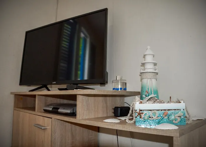 Albatross Retro Summer * Varna