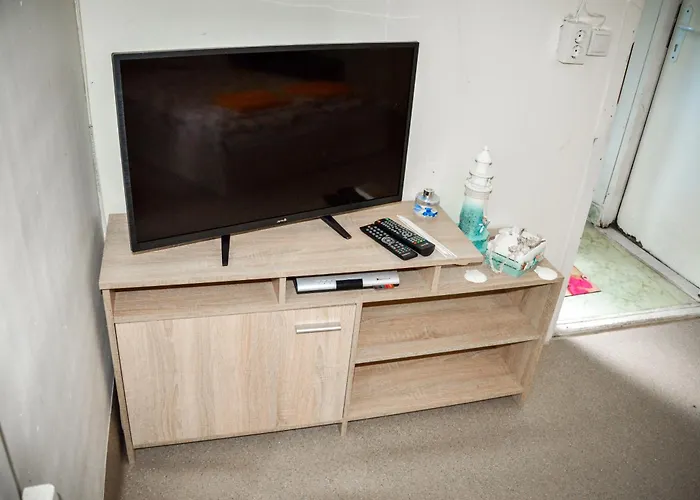 Albatross Retro Summer Camping