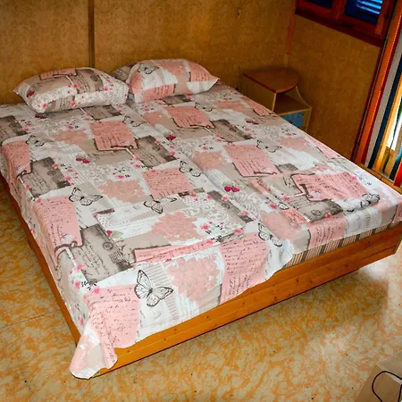 Albatross Retro Summer 바르나