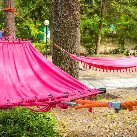 Albatross Retro Summer *