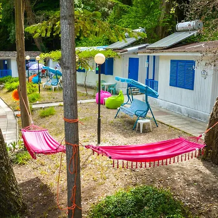 Campsite Albatross Retro Summer *
