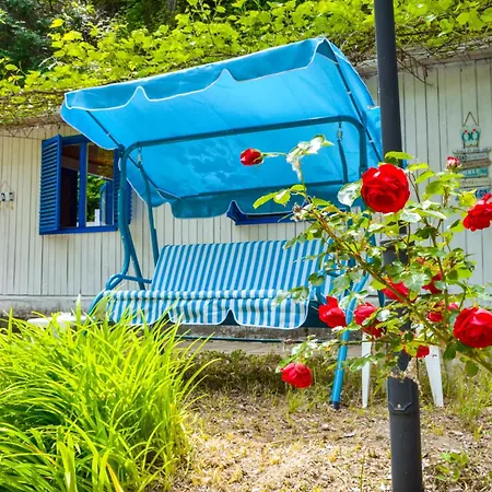 Campsite Albatross Retro Summer Varna