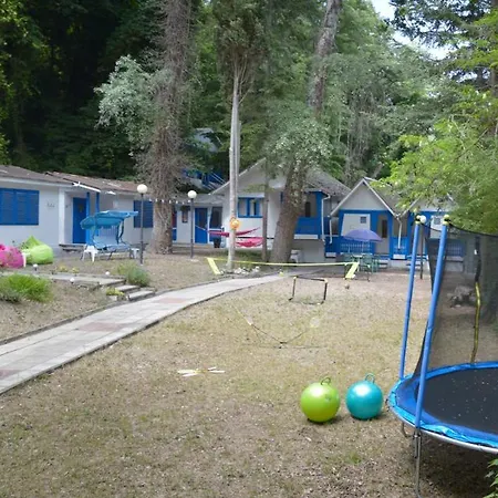 Campsite Albatross Retro Summer *