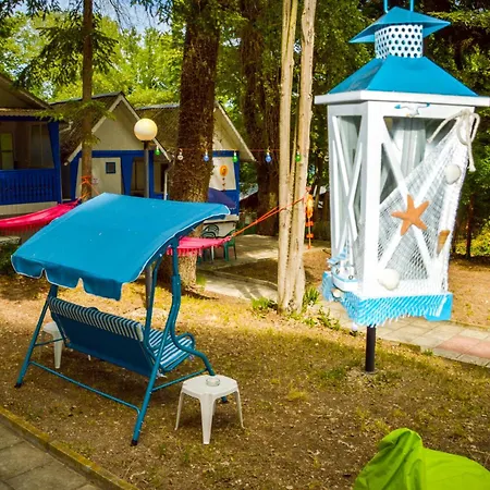 Campsite Albatross Retro Summer *