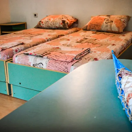 Campsite Albatross Retro Summer *