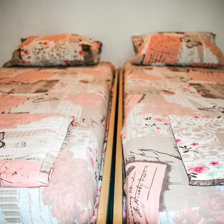 Albatross Retro Summer Varna