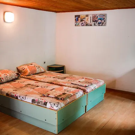 Campsite Albatross Retro Summer