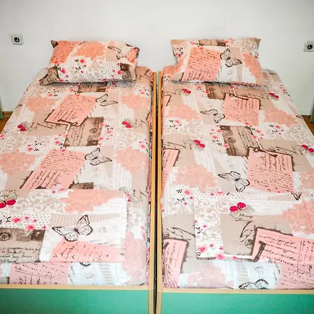 Campsite Albatross Retro Summer *