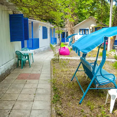 Albatross Retro Summer Campsite