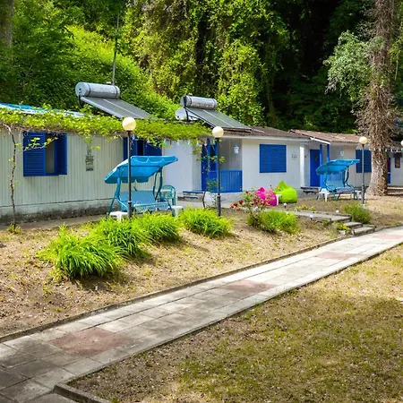 Albatross Retro Summer