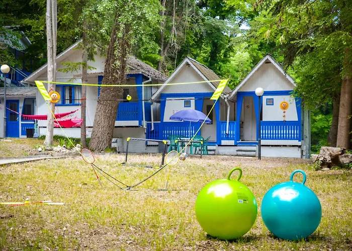 Albatross Retro Summer