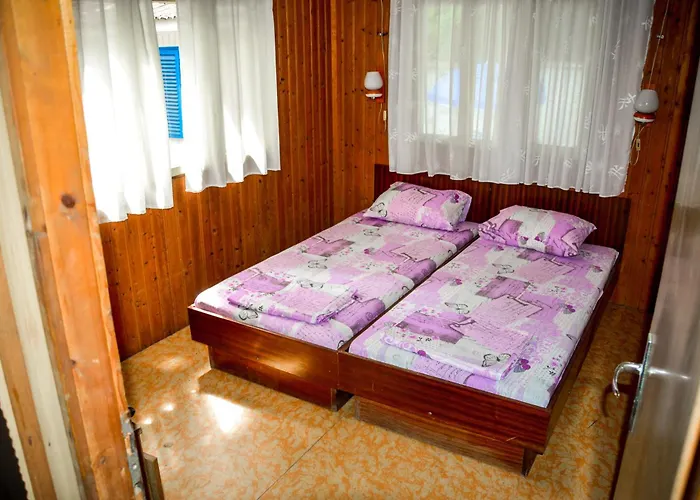 Albatross Retro Summer 캠프장 바르나