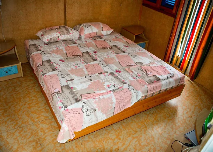 Albatross Retro Summer Varna