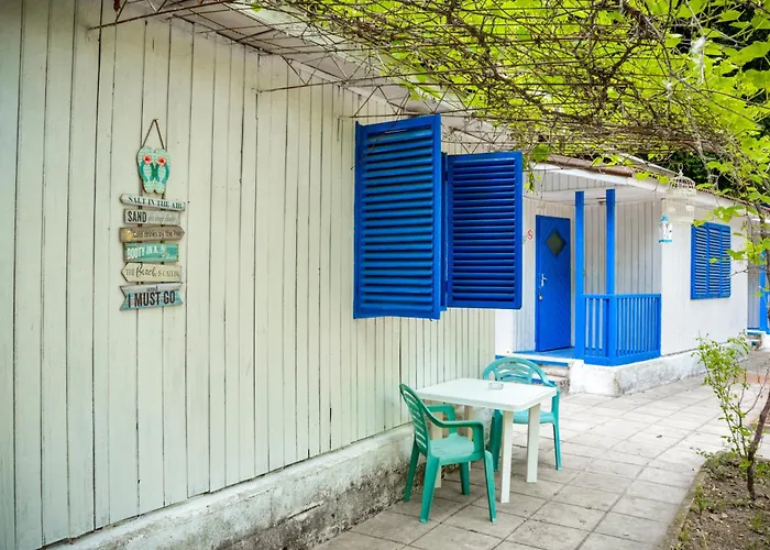 Albatross Retro Summer Varna