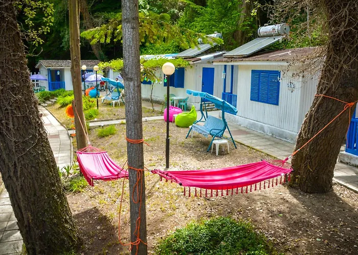 캠프장 Albatross Retro Summer *