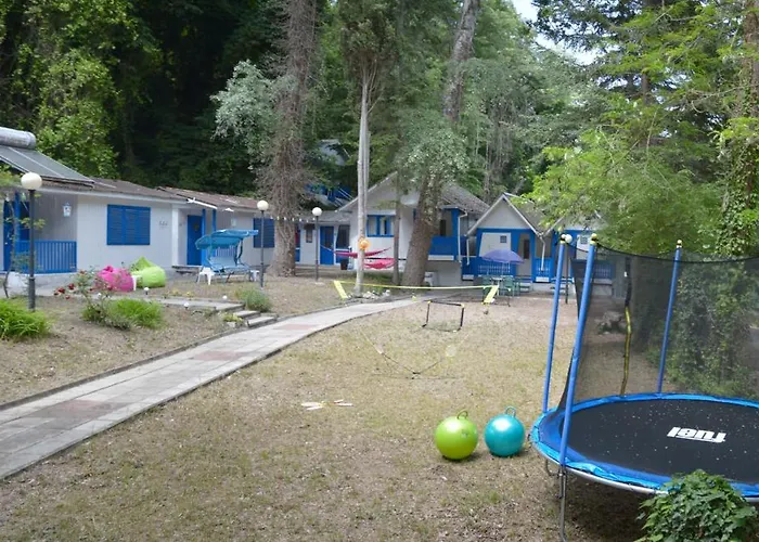 Campsite Albatross Retro Summer *