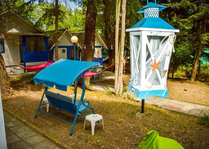 Campsite Albatross Retro Summer *