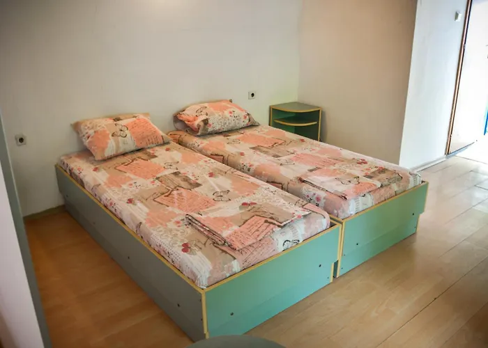 Albatross Retro Summer * 바르나