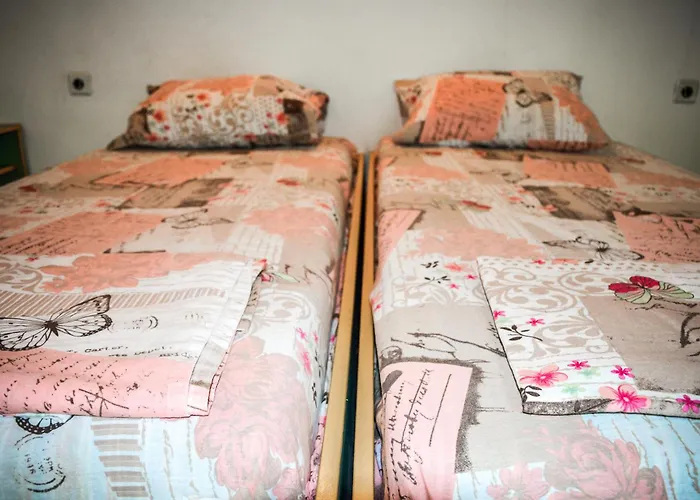 Albatross Retro Summer 바르나