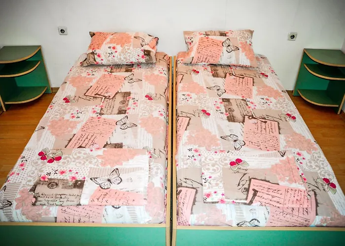 캠프장 Albatross Retro Summer *