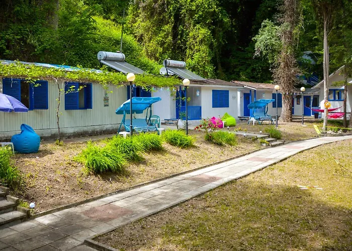 Albatross Retro Summer