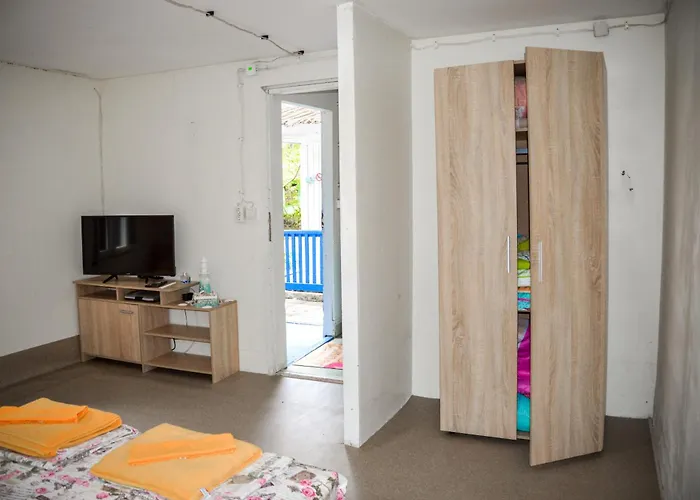 Albatross Retro Summer * 바르나