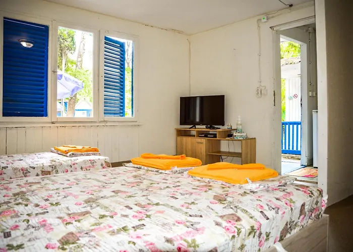 Albatross Retro Summer 캠프장