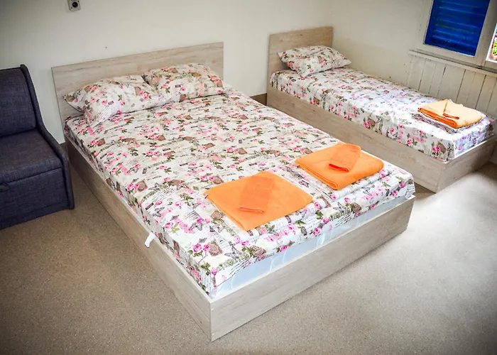 Albatross Retro Summer