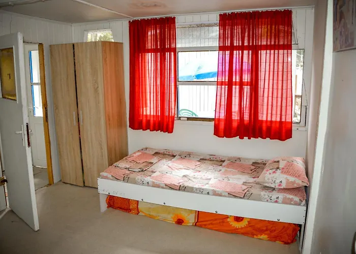 Albatross Retro Summer 캠프장